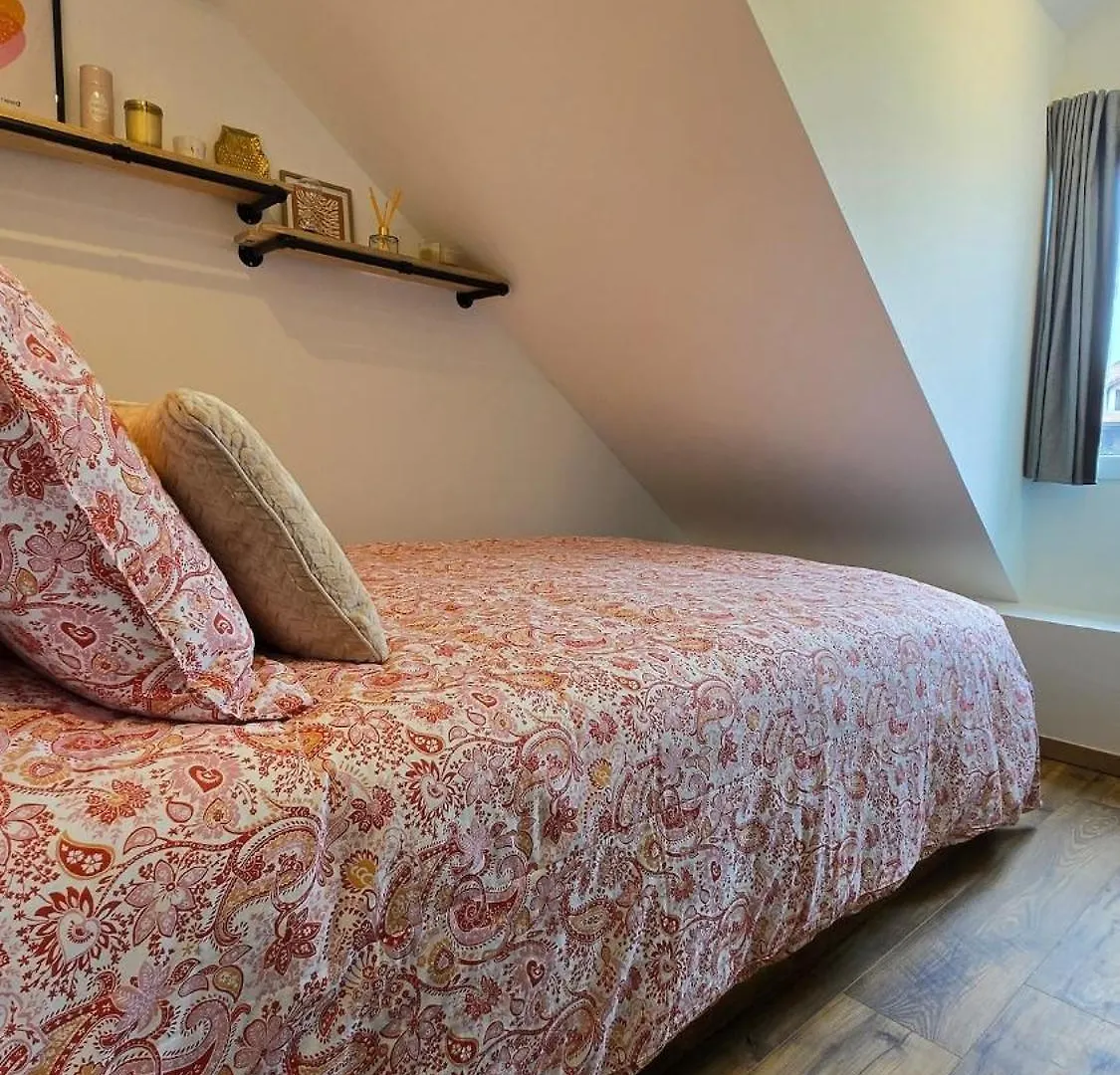 Апартаменты Appartement Atypique Au Coeur De Салланш