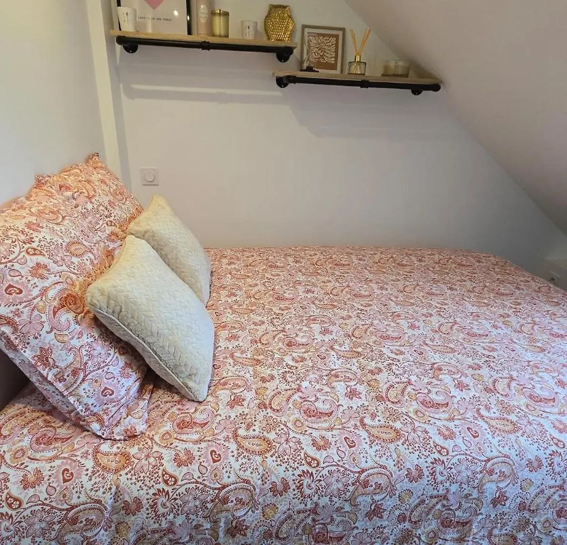 Appartement Atypique Au Coeur De Салланш 0*,