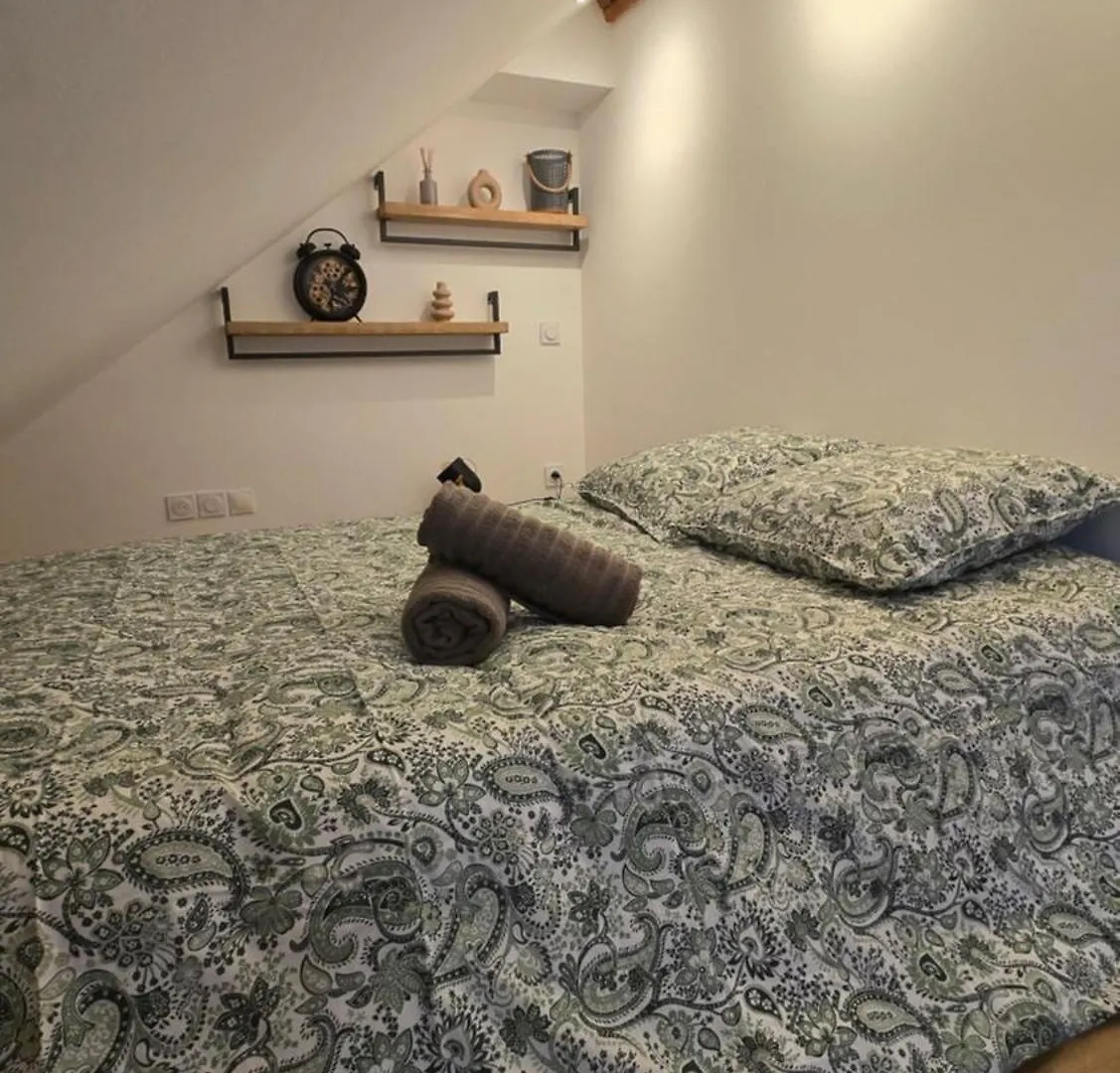 Апартаменты Appartement Atypique Au Coeur De Салланш Франция